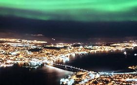 Northern Light Tromso